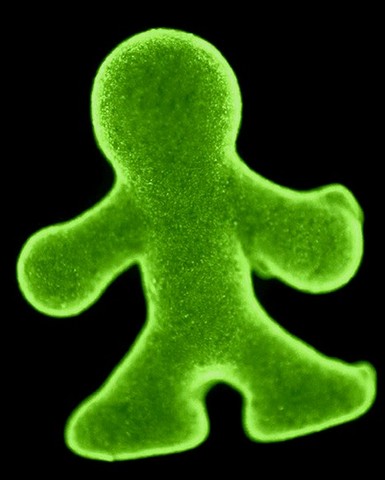 The king has became a mere puppet.