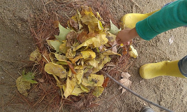 Transformemos la escuela.