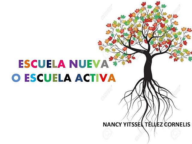 Aprobación de puntos básicos para la pedagogía