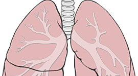 Timeline: Tuberculosis