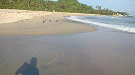 Timeline: Foro: Línea del tiempo sobre aprendizajes en Unidad 1