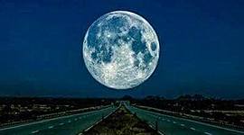 Timeline: WEEKLY ROUTINE