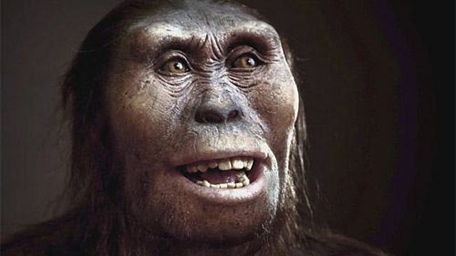 Surgimento do ser humano