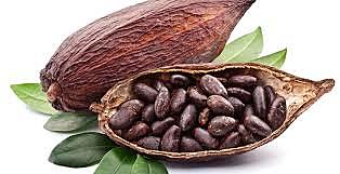 Productos en Comercialización