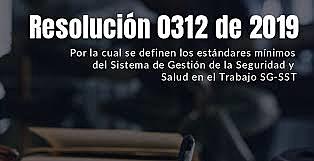 Resolución 0312 de 2019