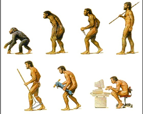 Creación de los instrumentos