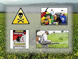 DECRETO 1843 -MINISRERIO DE SALUD