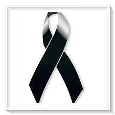 LEY 1260 - CONGRESO DE  COLOMBIA