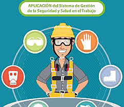 Resolución 0312 de 2019