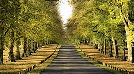 Timeline: Maialen Apoitaren bizitza