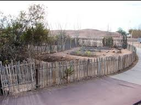 Hohokam People Plant Gardens on Lands Between the Salt And Gila Rivers