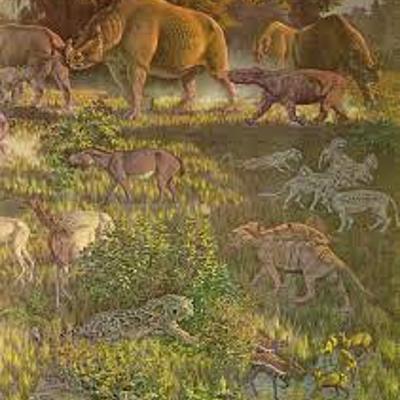 Timeline: Geological Time Scale