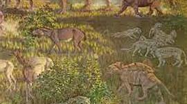 Timeline: Geological Time Scale