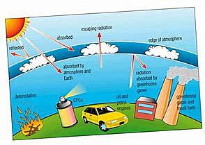 CFC's in store bought items
