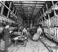 Upton Sinclair's "The Jungle" and the Meat Inspection Act and Pure Food and Drug Act