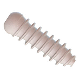 Headless Cannulated Bioabsorbable Interference Screw