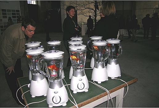 Goudvissen in de blender