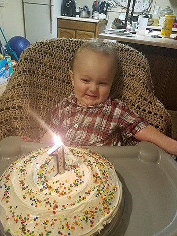 Reid's Trust When Being Fed: Trust vs. Mistrust