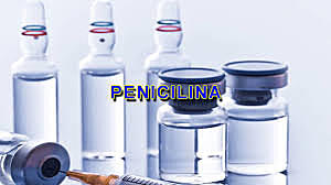 la penicilina