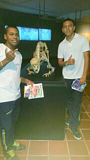 en el museo