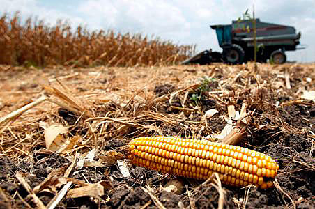 Se da la escasez de comida y combustible.