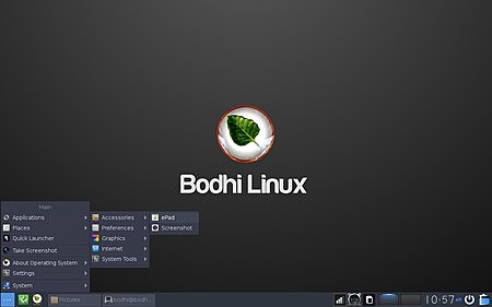 Bodhi Linux