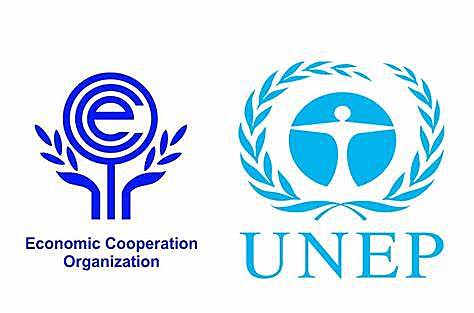Ozone and CFCs study