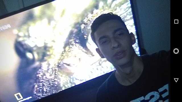 video game and series.