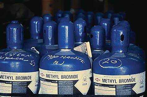Phase out methyl bromide