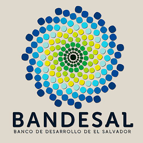 Banco Agrícola Comercial y Banco de Desarrollo (2000)