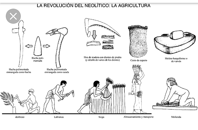 Desarrollo de los instrumentos de trabajo