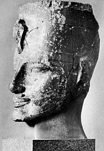Amenhotep III's Military Campaign in Nubia