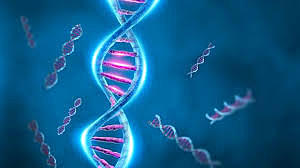 Descubrimiento de la estructura molecular del ADN