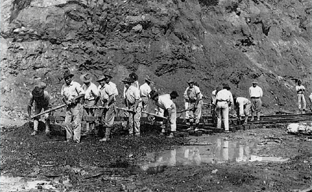 Constitución de 1904 y los Códigos Colombianos