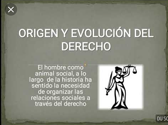 Origen y evolución del derecho