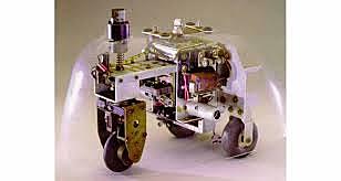 Tortues de Grey Walter