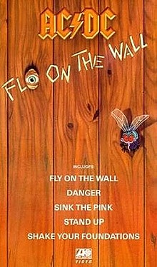 Fly on the Wall (VHS)