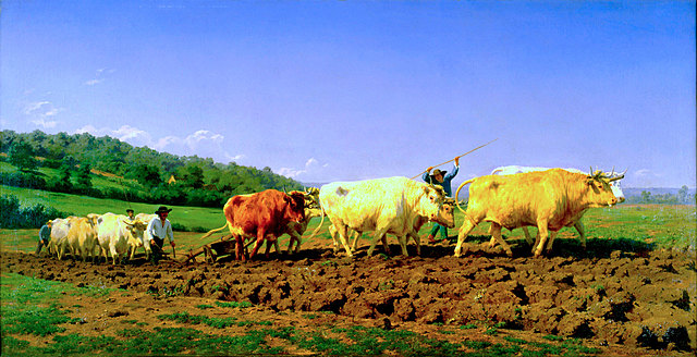 Buscar Buscar -  Primera aradura