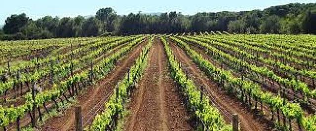 Conflicte per la possessió del castell de Calafell entre el Monestir de Sant Cugat i la família Castellet