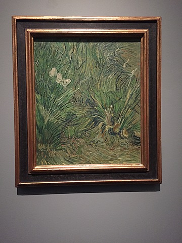 “Tuin met vlinders”