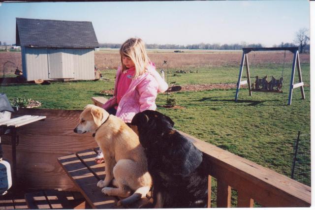 Hace diez años que comprí dos perros.