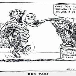 Treaty of Versailles is Signed (POLITICAL)