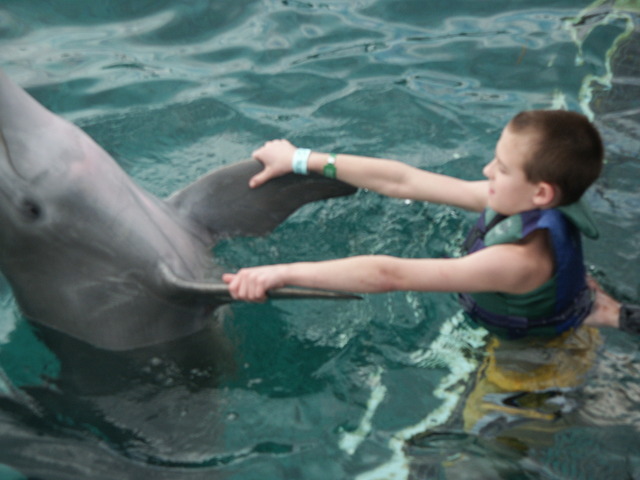 Hace siete años que mi familia hizo un crucero