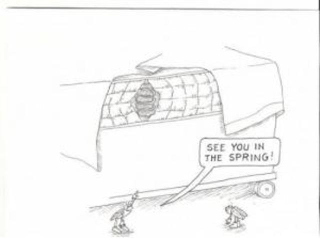 William Shakespeare falls ill and dies. In his will he leaves his wife his second best bed.