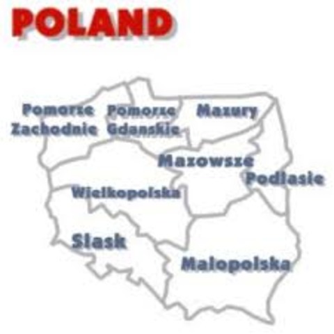 non-agression pact; Germany and Russia; divide Poland