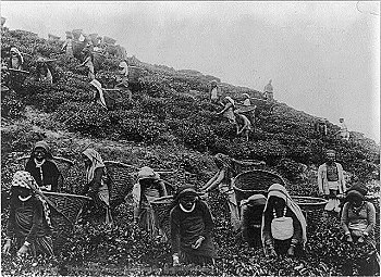 Beginning of the British Raj