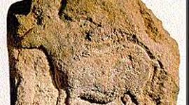 Timeline: evolucion de las comunicasiones