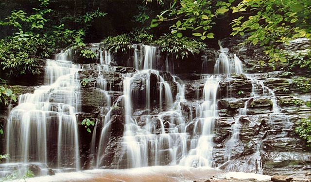 "Patrimonio de la Humanidad" al Parque Nacional Natural Los Katíos