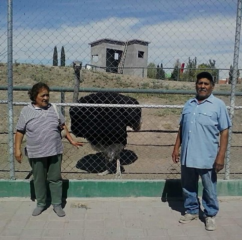 falleció mi abuelita materna. 2018