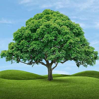 Timeline: Основные открытия в биологии